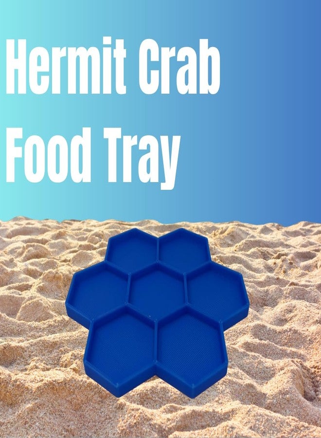 Chatelet Hermit Crab Feeder Dish | 7 Tray Dish for Crab or Snail Feeding | Mix & Match Crab Food | Made in USA (Blue, Hexagon) - Image 2